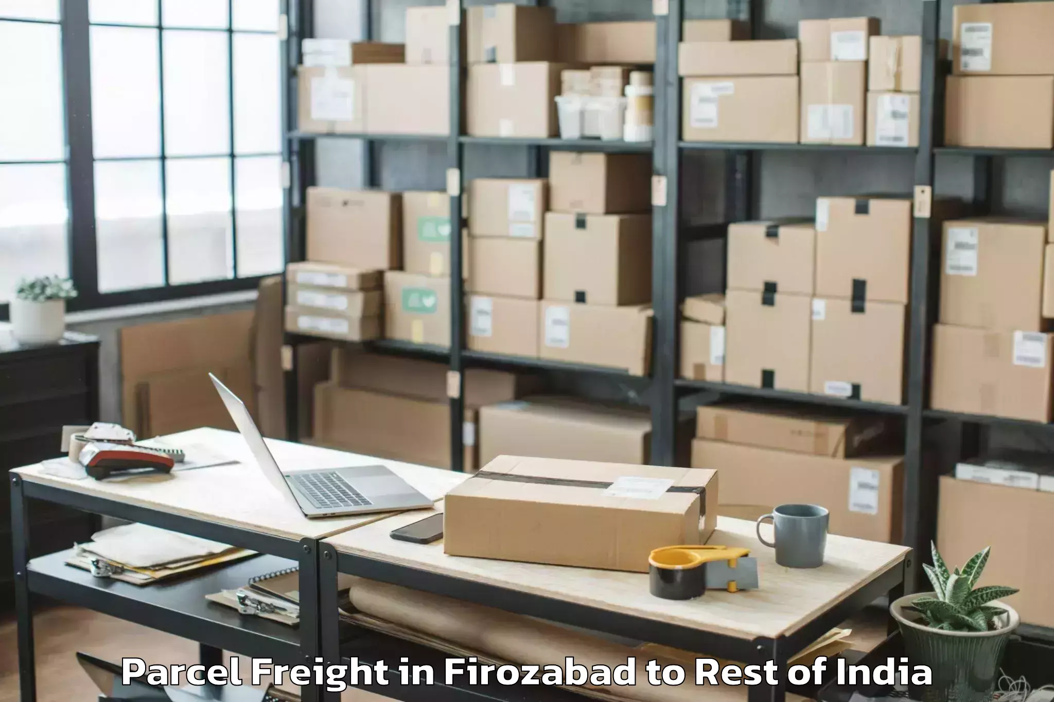 Top Firozabad to Srinagar Kashmir Parcel Freight Available